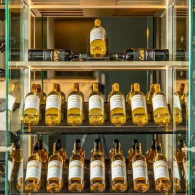 foto 3 - update_cellartus-showroom8